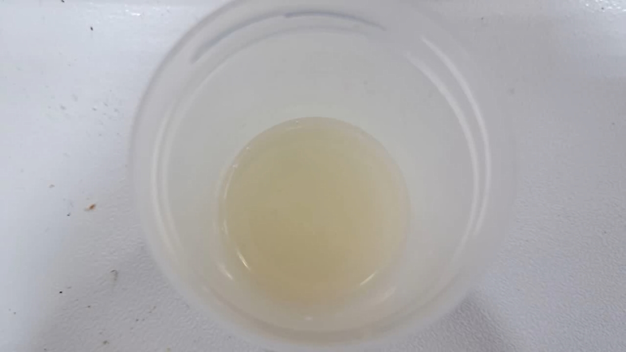 Electrospinning: Solutions of Polystyrene and Polyvinylidene Difluoride in Dimethylformamide